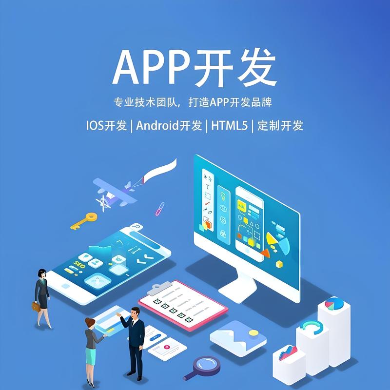上海软件开发行业的现状与未来